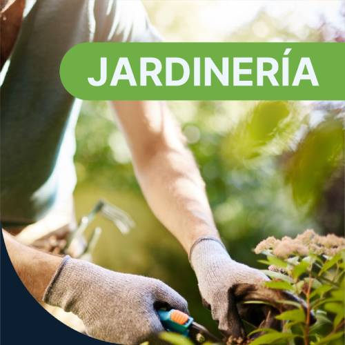 Comprá Jardineria por mayor.